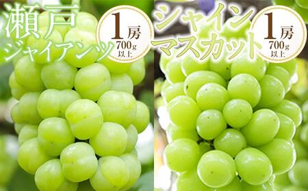 ぶどう 2025年 先行予約 黒川農園 瀬戸ジャイアンツ1房とシャインマスカット1房(1房700g以上)ブドウ 葡萄 岡山県産 国産 フルーツ 果物 ギフト