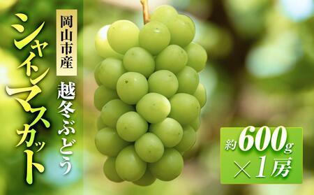 ܉ʉ z~Ԃǂ VC}XJbg 1[i1[600gj | t[c ʕ  VC}XJbg }XJbg RY Y Mtg p v[g 蕨 t[c ʕ 