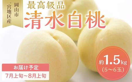  2026N   5`6ʓ 1.5kg Rs{nY   t[c ʕ Mtg