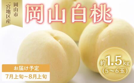  2026N R  5`6ʓ 1.5kg Rs{nY   t[c ʕ Mtg