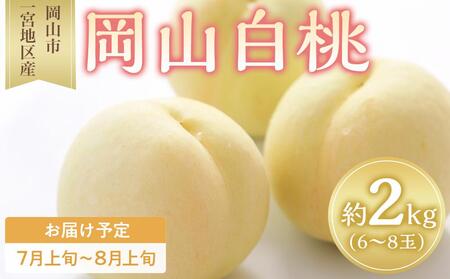  2026N R  6`8ʓ 2.0kg Rs{nY   t[c ʕ Mtg
