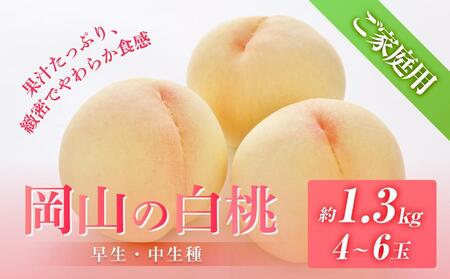 桃 2025年 先行予約 ご家庭用 岡山の 白桃（早生、中生種）約1.3kg 4～6玉 もも モモ フルーツ 果物 岡山市 一宮地区産 国産 赤木農園