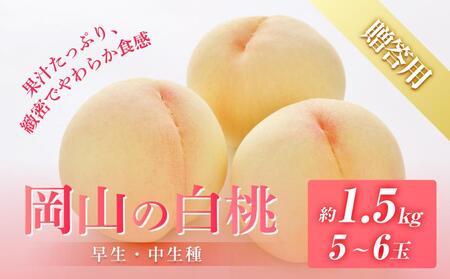 2026N s\ p R   iAj1.5kg 5`6  b 