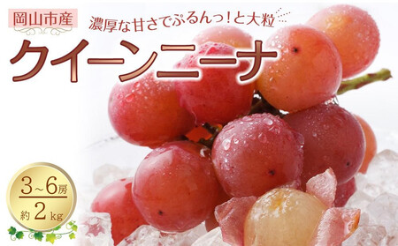 Ԃǂ 2026N NC[j[i 3`6[ v2kg 햳 uhE  RsY Y t[c ʕ n粔_