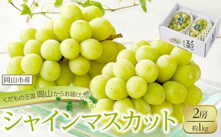 Ԃǂ 2026N VC }XJbg 2[ v1kg  햳 uhE  RsY Y t[c ʕ n粔_