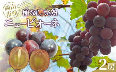 Ԃǂ2026N Ȃn j[sI[l 2[ RsY n粔_