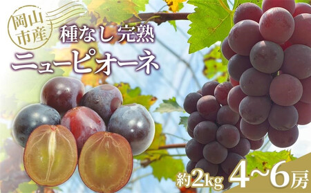 Ԃǂ 2026N Ȃn j[sI[l 2kgi4`6[jRsY n粔_