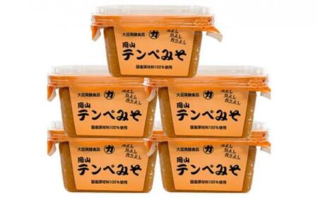 岡山テンペみそ 300g×5個