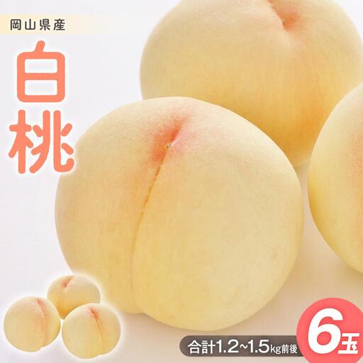 桃 2026年  白桃 6玉入り 合計1.2～1.5kg前後 もも モモ 岡山県産 国産 フルーツ 果物 ギフト