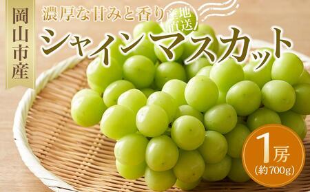VC}XJbg 1[ 700g b  VC}XJbg