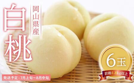 �� 2026�N  ���� 6�ʁi1��300g�ȏ�j ���� ���� ���R���Y ���Y �t���[�c �ʕ� �M�t�g