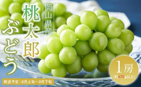 �Ԃǂ� 2026�N  �����Y �Ԃǂ� 1�[�i1�[670g�ȏ�j �u�h�E ����  ���R���Y ���Y �t���[�c �ʕ� �M�t�g