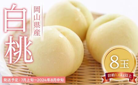 �� 2026�N  ���� 8�ʁi1��200g�ȏ�j ���� ���� ���R���Y ���Y �t���[�c �ʕ� �M�t�g