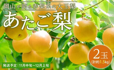    2ʁi1ʖ750gjv1.5kg  RY |  
