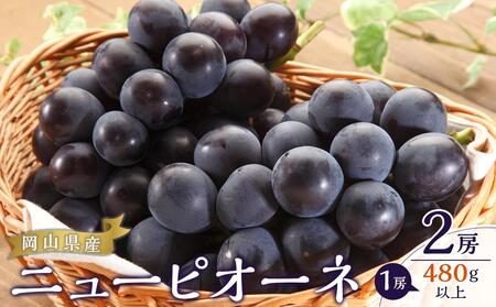 ニュー ピオーネ 2房(1房480g以上)約1kg | ピオーネ