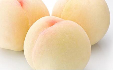  2026N  6ʁi1300gȏjϔ  RY Y t[c ʕ Mtg