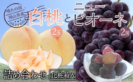 桃 ぶどう 2026年 果物詰合せ 白桃 2玉(1玉200g以上) ニュー ピオーネ 2房(合計約940g)化粧箱入り もも 葡萄 岡山県産 国産 フルーツ ギフト