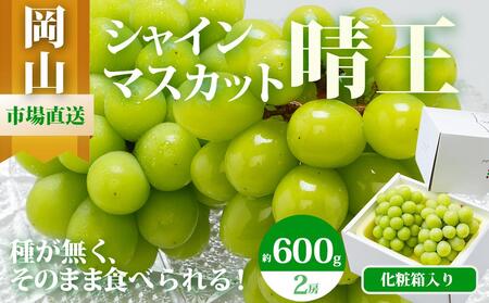シャインマスカット 晴王 2房(1房 600g以上)化粧箱入り | シャインマスカット