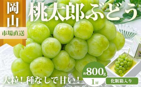 Ԃǂ 2026N  Y Ԃǂ 1[i800gȏjϔ uhE   RY Y t[c ʕ Mtg