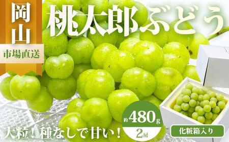 Ԃǂ 2026N Y Ԃǂ 2[i1[480gȏjϔ uhE   RY Y t[c ʕ Mtg