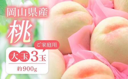 2026N s\ ƒp       3ʁiv900gj  b 