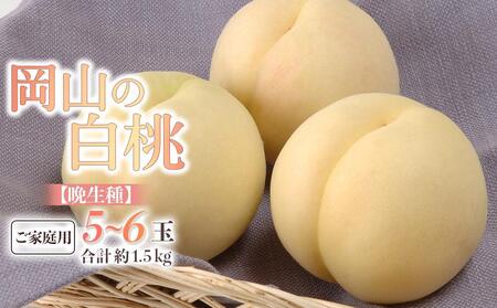 桃 2026年 ご家庭用 白桃(晩生種) 5〜6玉 合計約1.5kg もも モモ 岡山県産 国産 フルーツ 果物 ギフト