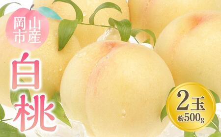 2026年 白 桃 2玉 合計約500g | 桃