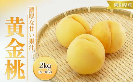 桃 2025年 先行予約 黄金桃 2kg 6～8玉 もも モモ 岡山 国産 フルーツ 果物 ギフト 桃茂実苑