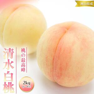 桃 2026年 先行予約 清水 白桃 2kg 6～8玉 もも モモ 岡山 国産 フルーツ 果物 ギフト 桃茂実苑
