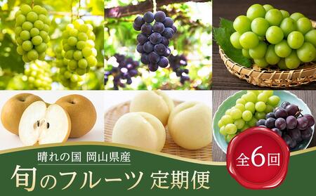 �t���[�c ����� 2026�N  ����̍� ���R���Y �{�̃t���[�c����� 6��R�[�X �� ���� ���� �Ԃǂ� �� �Ȃ� ���R���Y ���Y �Z�b�g �M�t�g