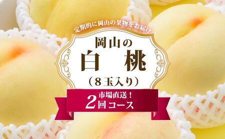 桃 定期便 2026年 岡山 の 白桃 8玉 合計1.7kg以上×2回 お届け 化粧箱入り もも モモ 岡山産 国産 フルーツ 果物 ギフト