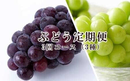 Ԃǂ  2026N ̍ R  Ԃǂ 3R[X  uhE RY Y Zbg Mtg