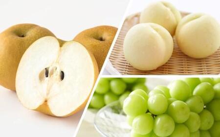 t[c 2026N ̍ R  t[c  3R[X  Ԃǂ  RY Y t[c ʕ Mtg