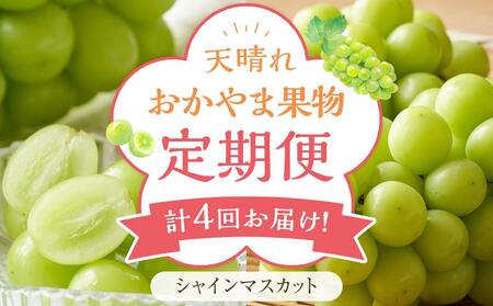 フルーツ 定期便 2024年 先行予約 天晴れ おかやま 果物 定期便 (3) シャイン マスカット 4回お届け! 岡山県産 国産 セット ギフト 