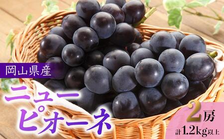 ぶどう 2026年 先行予約 岡山県産 ニューピオーネ 2房 計1.2kg以上[ジューシーで上品な甘みと高貴な香り]