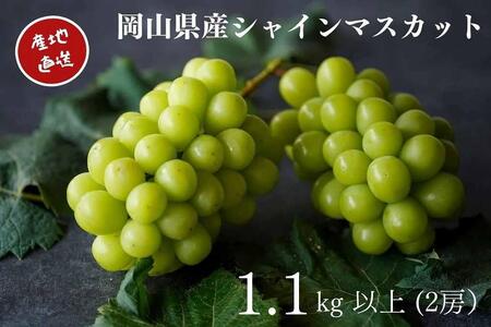 先行予約 2025年 厳選 シャインマスカット 2房 合計1.1kg以上 産地直送 朝採れ Kawahara Green Farm 岡山県産 
