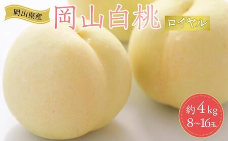 2026N s\ RY        C 4kgi8`16ʁjb 