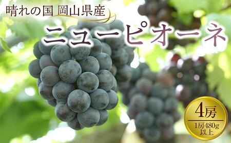 ぶどう 2025年先行予約 岡山県産 ニューピオーネ4房(1房480g以上)