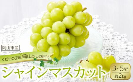 ぶどう 2026年 シャイン マスカット 3〜5房 合計約2kg 種無し ブドウ 葡萄 岡山市産 国産 フルーツ 果物 渡邊農園