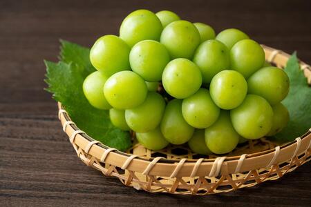 家庭用 大粒 9月以降発送 シャインマスカット 1房 岡山古来のシャインの木より完熟大房 シャインマスカット | ぶどう ぶどう