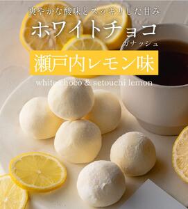 訳あり ショコリッシュ 520g 瀬戸内レモン 約22〜25個入り 冷凍 ギフト スイーツ チョコ 生チョコ 大量 大容量 おしゃれ 個包装 チョコレート トリュフ ふくちゃ