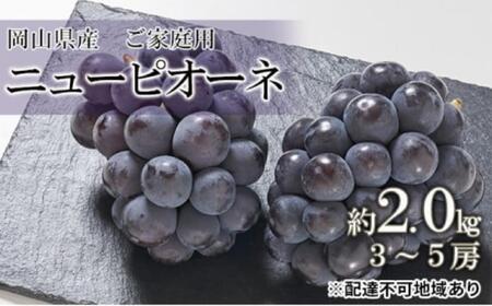 ぶどう 2025年 先行予約 ご家庭用 ニューピオーネ 約2.0kg(3〜5房)(クール便)