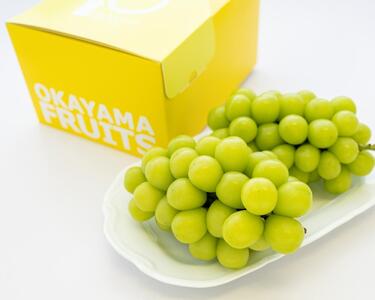 ぶどう 2025年 先行予約 ご家庭用 岡山県産 シャインマスカット 1.2kg(2〜3房)(クール便) 