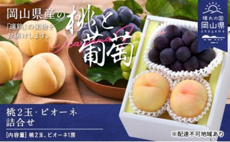 桃 ぶどう 2025年 先行予約 桃2玉・ピオーネ1房 詰合せ(クール便)