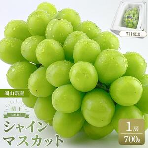 [2026年7月以降発送]岡山県産 シャインマスカット 晴王 1房 約700g 種無し 皮ごと食べる フレッシュ 先行受付 ハレノフルーツ 