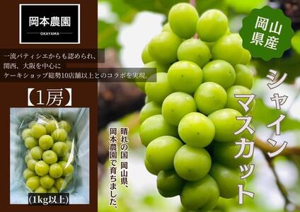 シャインマスカット　1房1.0kg｜  シャインマスカット
