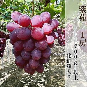 y2025NHzRY  1[ 700ȏ ϔb Ԃǂ Ԃǂ