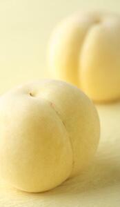 岡山県産 冬桃がたり ３個入り（約600ｇ）