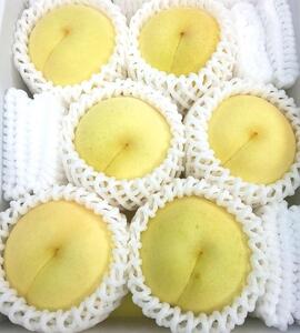 岡山県産 冬桃がたり 6個入り（約1200ｇ）