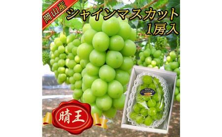 ぶどう 2025年 先行予約 受付 シャインマスカット[ 晴王 ][ 8月発送分 ]1房(約650g)秀品 [配送不可:離島]